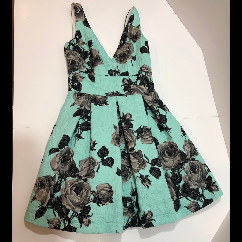 TopShop EUC fit&flare with crinoline